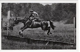 51753 - Deutsches Reich - 1936 - Sommerolympiade Berlin - Grossbritannien, "Bob Clive" Unter Capt. Scott - Horse Show