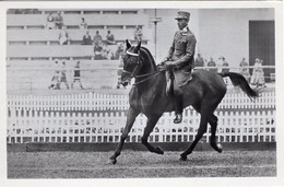 51755 - Deutsches Reich - 1936 - Sommerolympiade Berlin - Oesterreich, "Karolus" Unter Rittmeister Neumeister - Paardensport