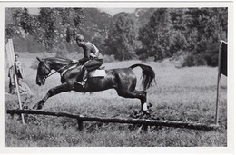 51760 - Deutsches Reich - 1936 - Sommerolympiade Berlin - Schweden, "Altgold" Unter Oberleutnant Von Stjernswaerd - Horse Show