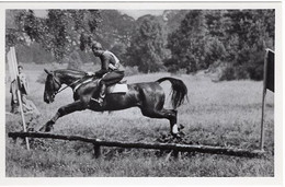 51760 - Deutsches Reich - 1936 - Sommerolympiade Berlin - Schweden, "Altgold" Unter Oberleutnant Von Stjernswaerd - Reitsport