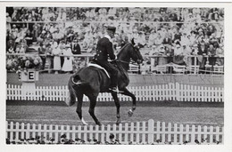 51762 - Deutsches Reich - 1936 - Sommerolympiade Berlin - Niederlande, "Zonnetje" Unter Major Le Heux - Horse Show