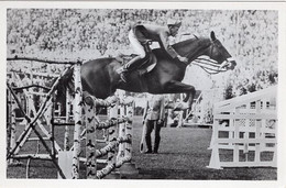 51767 - Deutsches Reich - 1936 - Sommerolympiade Berlin - Italien, "Saba" Unter Capt. Conforti - Horse Show