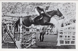 51767 - Deutsches Reich - 1936 - Sommerolympiade Berlin - Italien, "Saba" Unter Capt. Conforti - Paardensport