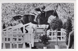 51769 - Deutsches Reich - 1936 - Sommerolympiade Berlin - Norwegen, "Felicia" Unter Oberleutnant Skougaard - Horse Show