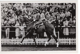 51781 - Deutsches Reich - 1936 - Sommerolympiade Berlin - Deutschland, "Fasan" Unter Rittmeister Lippert - Paardensport