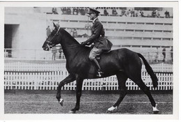 51789 - Deutsches Reich - 1936 - Sommerolympiade Berlin - Grossbritannien, "Bob Clive" Unter Capt. Scott - Paardensport