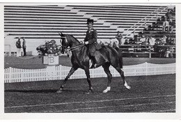 51791 - Deutsches Reich - 1936 - Sommerolympiade Berlin - Ungarn, "Csintalan" Unter Oberstleutnant Kemery - Paardensport