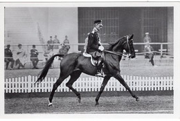 51796 - Deutsches Reich - 1936 - Sommerolympiade Berlin - Niederlande, "Ad Astra Von Alex XX" Unter Capt. Versteegh - Paardensport