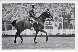 51806 - Deutsches Reich - 1936 - Sommerolympiade Berlin - Oesterreich, "Manada" Unter Oberleutnant Ziegler - Reitsport