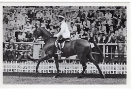 51808 - Deutsches Reich - 1936 - Sommerolympiade Berlin - Bulgarien, "Mageremlek" Unter Rittmeister Malaktschieff - Reitsport