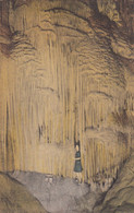 Stanton Missouri, Route 66, Meramec Caverns Cave Attraction, C1940s Vintage Postcard - Route ''66'
