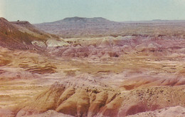 Route 66 Painted Desert In Arizona, C1950s Vintage Postcard - Route ''66'