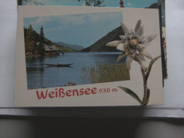 Oostenrijk Österreich Kärnten Weissensee Mit Edelweiss - Weissensee