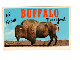 16248 " HI FROM BUFFALO-NEW YORK " VERA FOTO-CART.POST. NON SPED. - Buffalo
