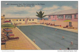 Florida Palm Beach Shores Swimming Pool At The Colonnades Curteich - Palm Beach