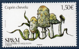 St Pierre Et Miquelon 2020 - Champignons, Coprin Chevelu - 1 Val Neuf // Mnh - Ungebraucht