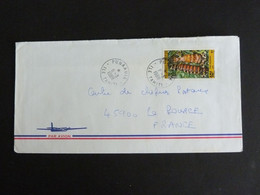 LETTRE POLYNESIE FRANCAISE AVEC YT 295 VARO - PUNAAUIA ILE TAHITI - Covers & Documents