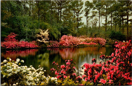 Alabama Mobile Bellingrath Gardens Mirror Lake - Mobile
