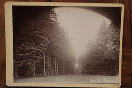 Photo 1890's Le Mazeau Château Près Fontenay Le Comte Tirage Sur PAPIER ALBUMINÉ Support CARTON Photographie Vendée CDC - Ancianas (antes De 1900)