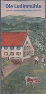 Livre - Freiamt-Brettental - Die Ludinmühle Von Der Dorfwirtschft Zum First Class Hotel - Bade-Wurtemberg