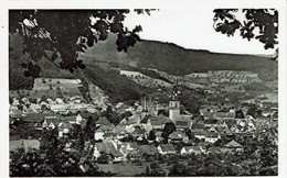 HASLACH-PANORAMA - Haslach