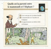 Fiche Illustrée BD,1991,Hergé Moulinsart / Casterman, TINTIN, Les Cigares Du Pharaon, 150x150 Mm, Frais Fr 1.65e - Andere & Zonder Classificatie