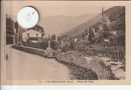 30 -  Carte  Postale Ancienne De  VALLERAUGUE    Route Des Salles - Valleraugue