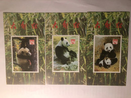 China Commemorative Sheet, Giant Panda, Fake Stamp，10v - Lots & Serien