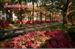 USA SAVANNAH VICTORY DRIVE BOTH PALMS AND AZALEAS - Savannah