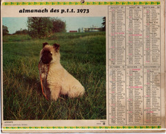 Almanach Des PTT De 1973 Chien Et Chat  Interieur Carte 64 Pyrénées Atlantiques Et  Plan De Bayonne Et Pau - Grand Format : 1971-80