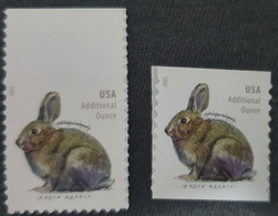 USA / Rabbit - Ongebruikt