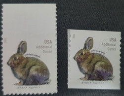 USA / Rabbit - Ungebraucht