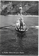 Italie - SCILLA  - PESCA DEL PESCE SPADA   Carte-photo N° 12 Ed F.GIOFFRE SCILLA - Other & Unclassified