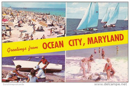 Maryland Greetings From Ocean City - Ocean City