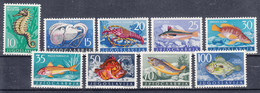Yugoslavia Republic Sea Fish 1956 Mi#795-803 Mint Hinged - Nuevos