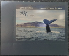 Iceland / Animals / Tourism, Sport, Rafting, Fauna, Whales - Ongebruikt
