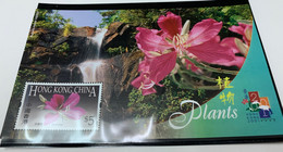 Hong Kong Stamp MNH Landscapes S/s Plant Waterfall Bauhinia 2001 Exhibition - Gebraucht