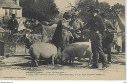 CHARENTE - Scene De FOIRE - Bonjhor Ragasseau.... I Sont Bias Vos Goret ! - Poitou-Charentes