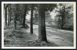 Lunteren , Gem. Ede , " Een Stille Zandweg. "  17-4-1957 - 2 Scans For Condition. (Originalscan !!) - Ede