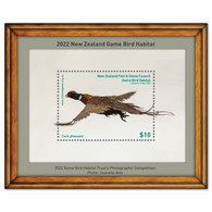 New Zealand 2022 New *** Game Bird Habitat , Fauna, Cock Pheasant MS MNH (**) - Neufs