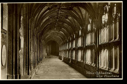 Wells Cathedral The Cloisters Dawkes & Partridge - Wells