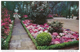 Alabama Mobile Flagstone Walk In Bellingrath Gardens 1959 - Mobile