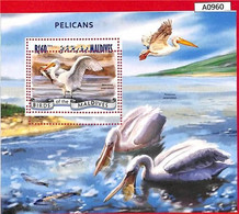 A0960 MALDIVES - ERROR  MISPERF SHEET - 2014  BIRDS PELICANS ПТИЦЫ ПЕЛИКАНЫ - Pelícanos