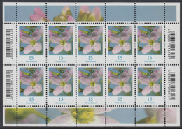 !a! GERMANY 2018 Mi. 3424 MNH SHEET(10) - Flowers: Cuckoo Flower - 2011-2020