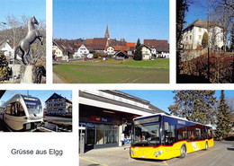 Elgg ZH 5 Bild Postauto  Q  Limitierte Auflage! - Elgg