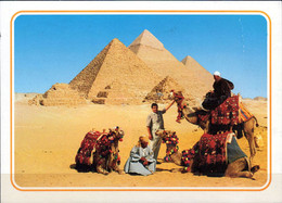 POSTCARD. EGYPT. Giza-Pyramids. - Piramiden