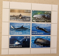 RUSSIE  Baleines, Baleine, Whales, Ballena,  Wal. Feuillet 6 Valeurs Emis En 1995 (3) Neuf Sans Charniere. Mnh - Ballenas