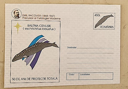 ROUMANIE  Baleines, Baleine, Whales, Ballena,  Wal. Entier Postal Emis En 1997 Neuf  (12) Eschrichtius Robustus - Baleines