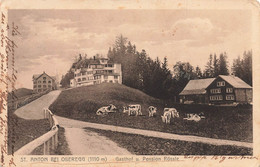 St. Anton Bei Oberegg Gasthof U. Pension Rössle - Kuhe 1916 - Oberegg