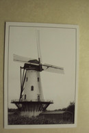 45993 - RUISLEDE - HOSTENS MOLEN - ZIE 2 FOTO'S - Ruiselede